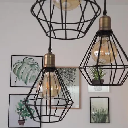 Divizija Lux